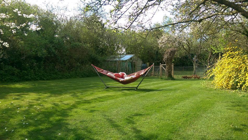 Orchard Pond Bed & Breakfast Duxford Bagian luar foto